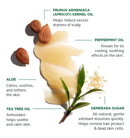 Exfoliating Scalp Scrub + Shampoo